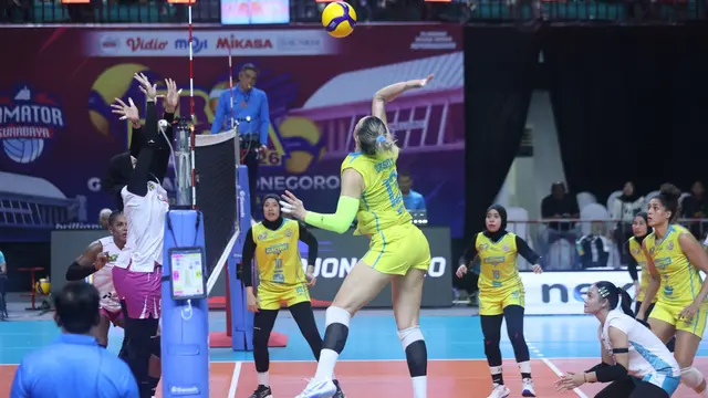 Jakarta Popsivo Polwan - Proliga 2026 - Bola Voli