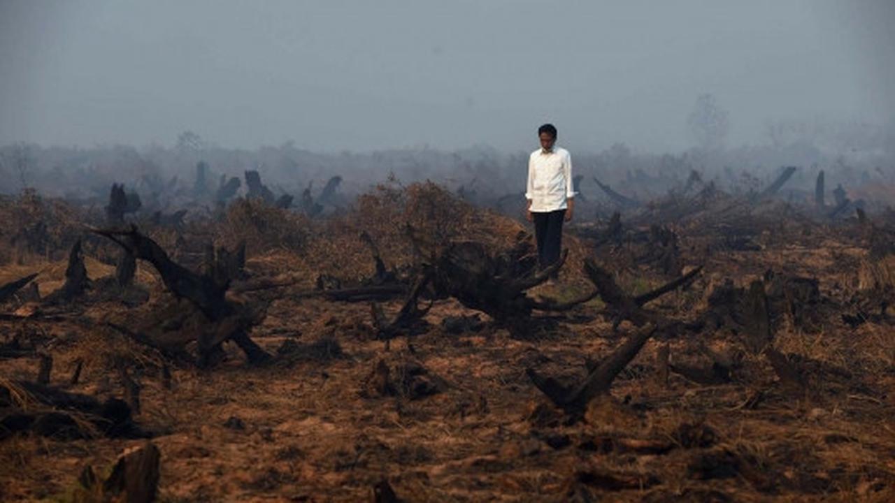 Aksi Jokowi tinjau langsung kebakaran hutan di Kalimantan