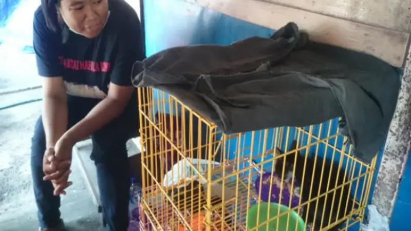 Kucing Hitam Selamat Setelah 8 Jam Terjebak Kebakaran Pasar Legi Solo