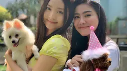 Pesinetron itu merupakan sosok yang penyayang, terlihat dari caranya memperlakukan anjing kesayangannya. Natasha Wilona pun mengajak Miluv hadir di acara ulang tahun Yeppo anjing milik Felicya Angelista. (Liputan6.com/IG/@natashawilona12)