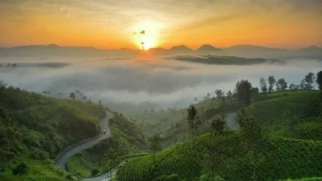 Sunrise Point Cukul