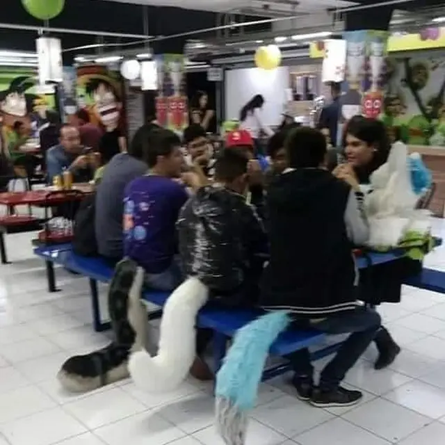 5 Momen Kompakan di Tempat Umum Ini Malah Bikin Geleng Kepala