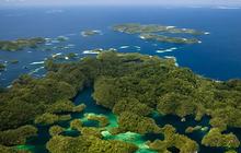 Perkiraan Biaya Dibutuhkan untuk Liburan ke Raja Ampat dari Jakarta, Siapkan Dana Segini