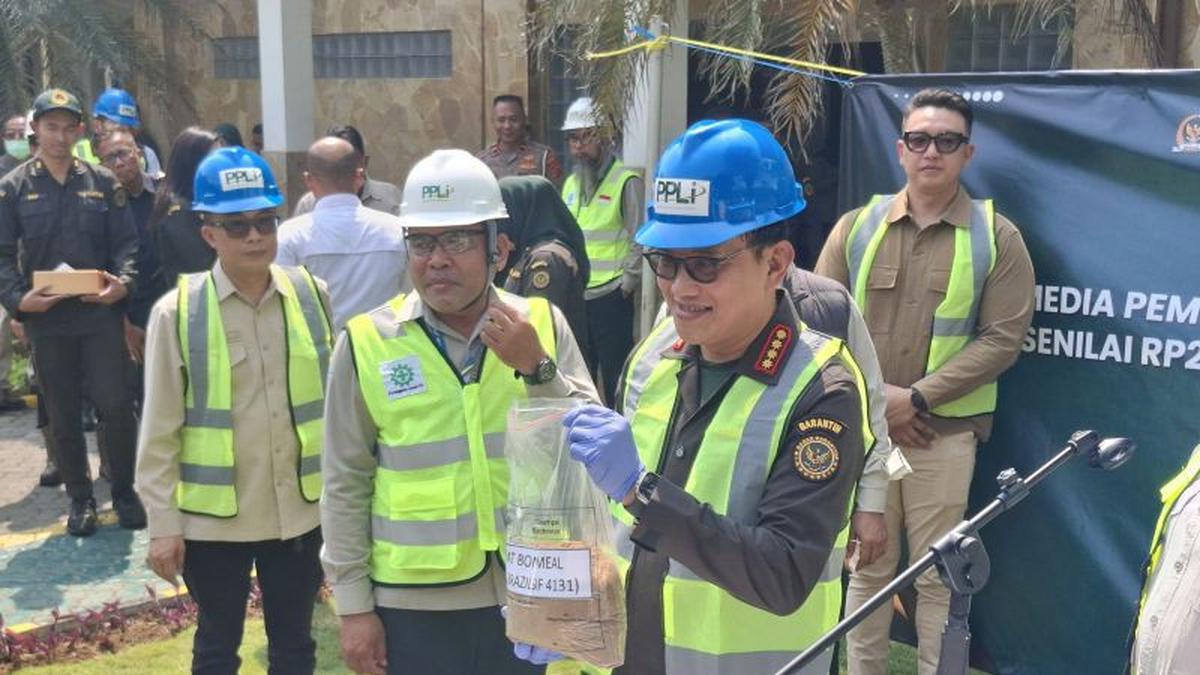 Badan Karantina Musnahkan 312 Ton Bahan Pakan Ternak Mengandung Babi