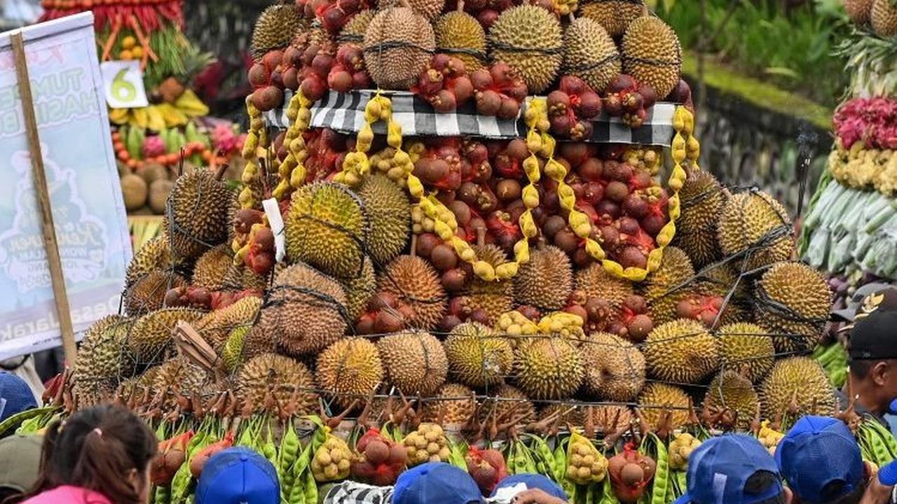Sebelum puncak acara, festival ini sempat dibuka dengan penampilan kesenian lokal dan arak-arakan tumpeng berisi hasil bumi. Foto: JUNI KRISWANTO / AFP<br>