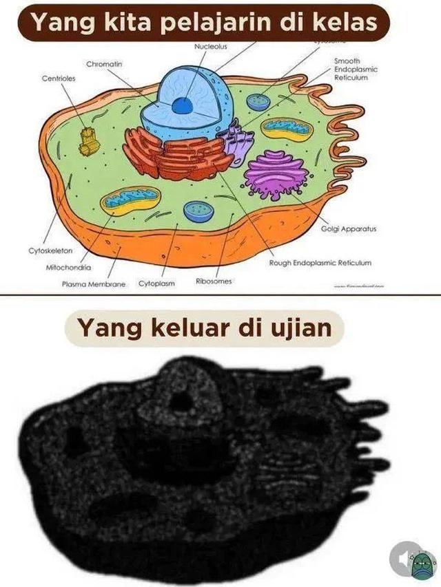 6 Meme Soal Ujian Lebih Sulit dari Tugas Harian Ini Kocak, Relate dengan Siswa