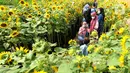 Pengunjung berfoto dengan tanaman bunga matahari di Bogor Sky Garden, Mall BTM, Kota Bogor, Jawa Barat, Minggu (13/06/2021). Taman bunga matahari di atap gedung pusat perbelanjaan itu menjadi wisata alternatif gratis bagi pengunjung dalam mengisi libur akhir pekan. (merdeka.com/Arie Basuki)