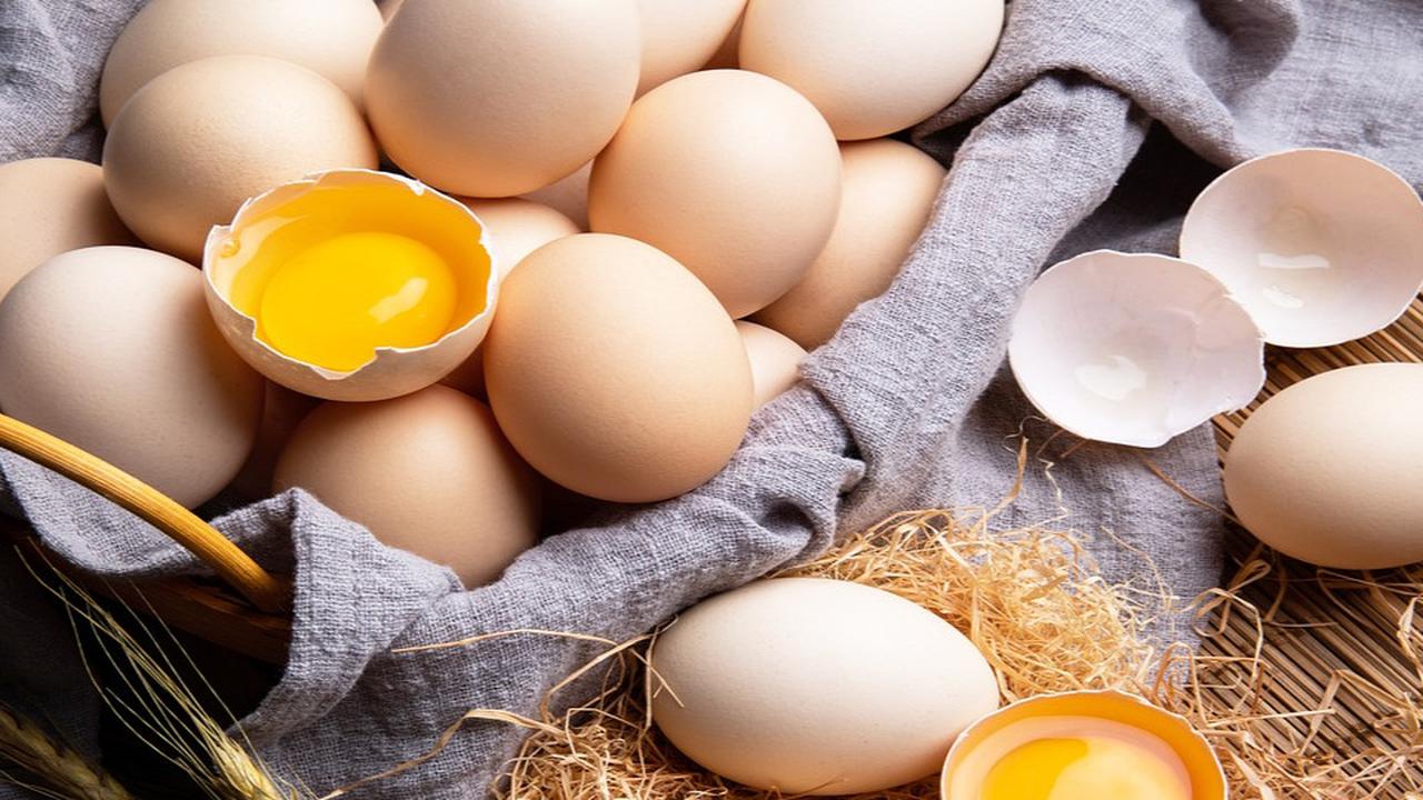 Bukan Sekadar Sampah, Ini Cara Kreatif Memanfaatkan Cangkang Telur Jadi Sumber Nutrisi untuk Tanaman dan Hewan