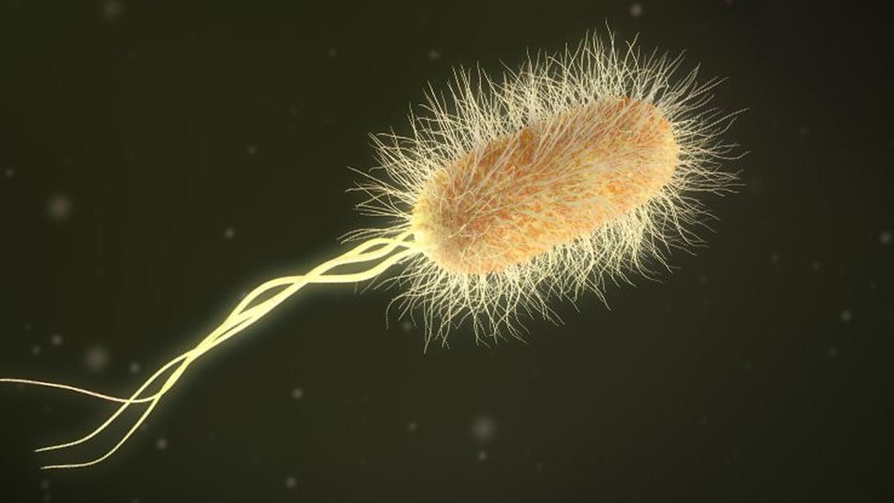 Penyalahgunaan Antibiotik Rentan Sebabkan Bakteri Resisten