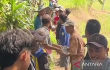 Mitigasi Dampak Kemarau Cianjur: Pemkab Gencarkan Perbaikan Irigasi dan Pasokan Air Bersih