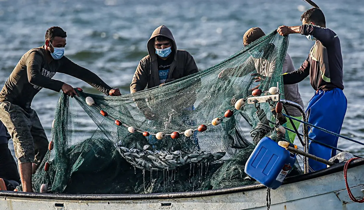 Nelayan Palestina mengumpulkan hasil tangkapan dari jaring saat menangkap ikan di Laut Mediterania, Rafah, Jalur Gaza, Rabu (2/9/2020). (SAID KHATIB/AFP)