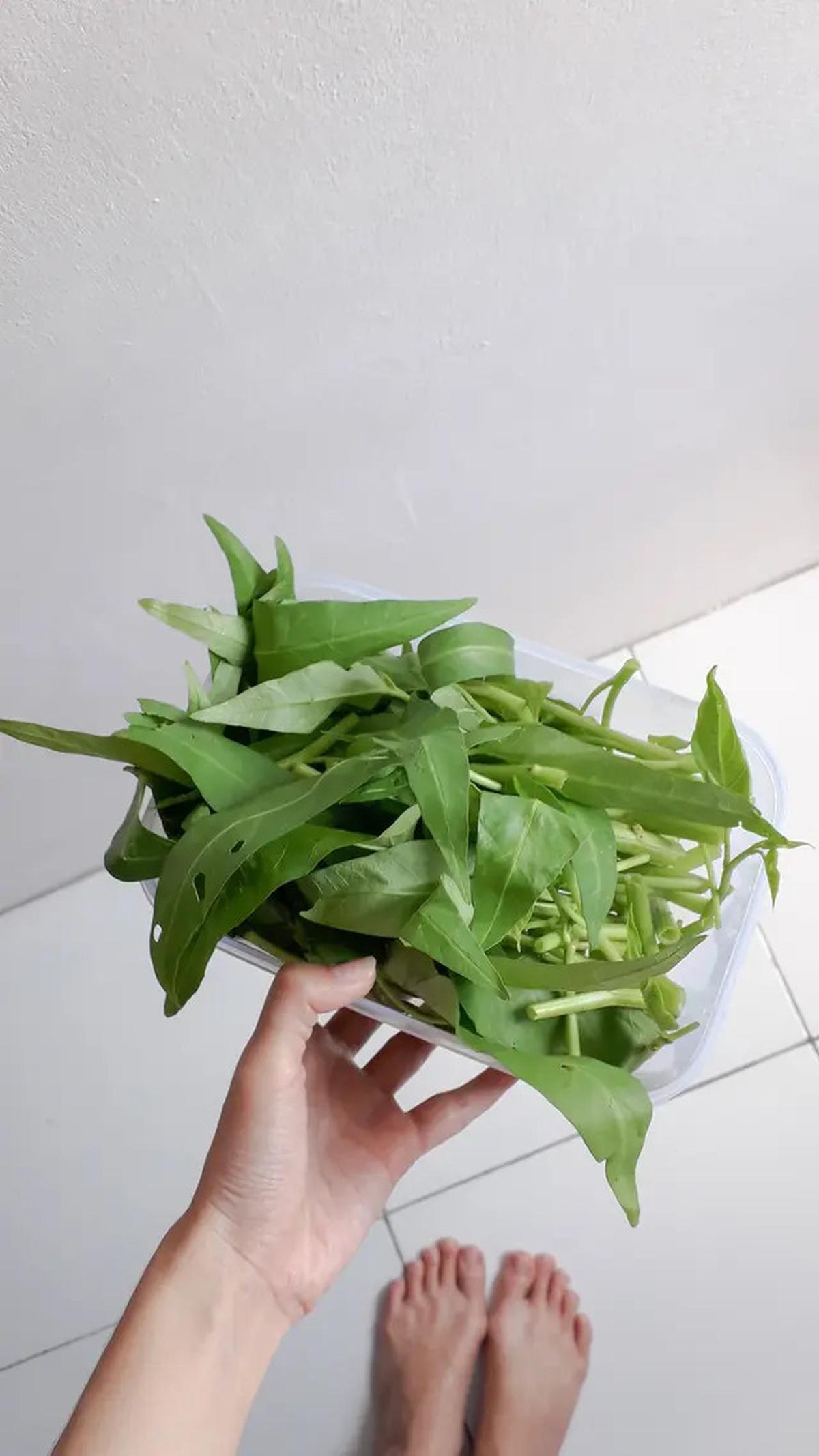 Resep Tumis Kangkung Tempe Ulek untuk Jadi Menu Bekal Sat Set