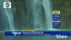 Pesona Air Terjun Nglirip yang berada di Desa Mulyoagung, Singgahan, Kabupaten Tuban, Jawa Timur. Indahnya warna hijau toska di tengah hijaunya rimbunan pepohonan yang tumbuh alami memanjakan mata, dan membuat setiap pengunjung tak melewatkannya untu...