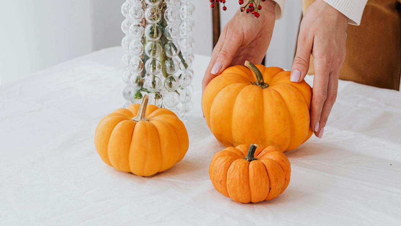 3 Jenis Labu yang Berbeda, Kenali Perbedaan Labu Parang, Kabocha, dan Butternut Pumpkin dan Resep Olahannya
