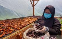 UNAND Padukan Kearifan Lokal 'Parak' Minangkabau dengan Pertanian Cerdas Iklim