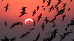 Burung camar terbang di pantai saat gerhana matahari parsial di Kuwait City, Kuwait, Kamis (26/12/2019). Gerhana matahari yang terjadi pada hari ini dapat diamati dari sejumlah wilayah mulai Afrika timur, seluruh Asia, Samudera India, dan Australia utara. (YASSER AL-ZAYYAT/AFP)