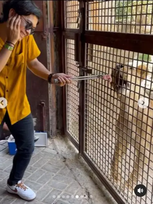Ajil Ditto nekat berusaha memberikan makan kepada salah satu singa yang ada di sana. Meski memakai capitan, ia tetap merasakan tangannya gemetar. (Foto: Instagram/@ajil_ditto08)
