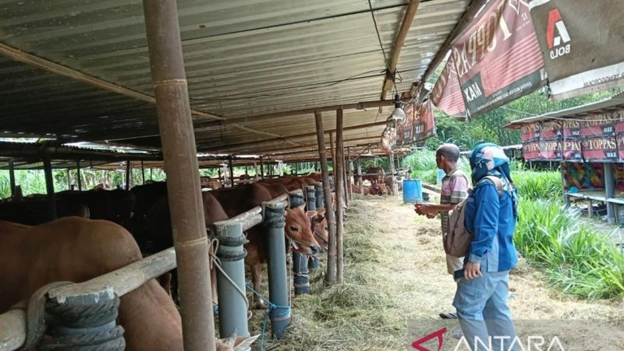 DPP Kulon Progo Perketat Pengawasan Hewan Kurban di 30 Titik Penampungan