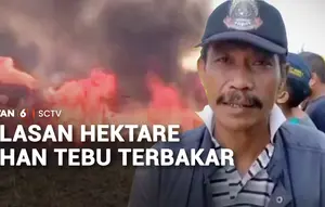Kebakaran Hanguskan Belasan Hektare Lahan Tebu Siap Panen di Jember