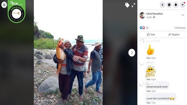 Cek Fakta Penemuan Ikan Mas Jumbo Tak Ada Kaitannya Dengan Tenggelamnya Km Sinar Bangun Cek Fakta Liputan6 Com