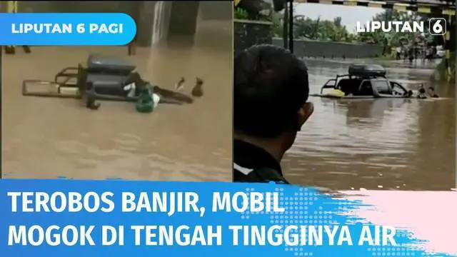Sudah diberi peringatan oleh warga, namun mobil ini nekat menerobos banjir setinggi 1,5 meter di Tegal dan berakibat fatal. Kedua mobil mogok di tengah tingginya air, warga bantu evakuasi pengemudi dan penumpang.
