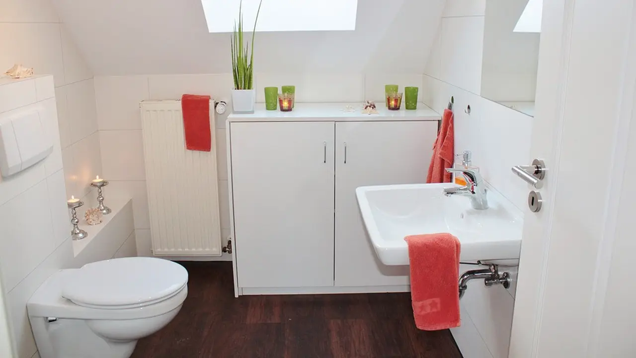Ilustrasi Toilet