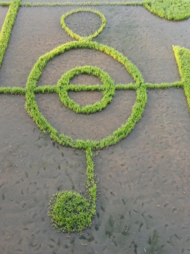 Not khatulistiwa, destinasi wisata alternatif yang terbuat dari pematang sawah, di Desa Buntu, Kecamatan Tapa, Kabupaten Bone Bolango, Gorontalo. (Foto: Liputan6.com/Arfandi Ibrahim)