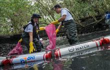 Program BRI Peduli 'Jaga Sungai Jaga Kehidupan' Sudah Revitalisasi 100 Sungai di Indonesia