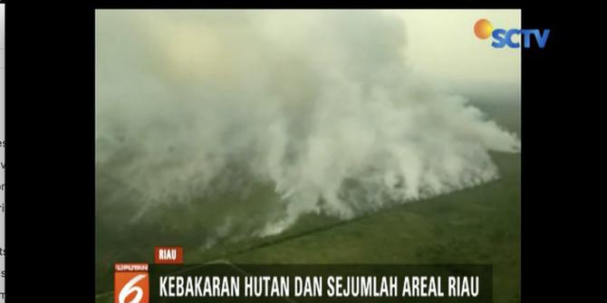 Kebakaran Hutan 800 Hektare, Riau dalam Status Siaga Bencana