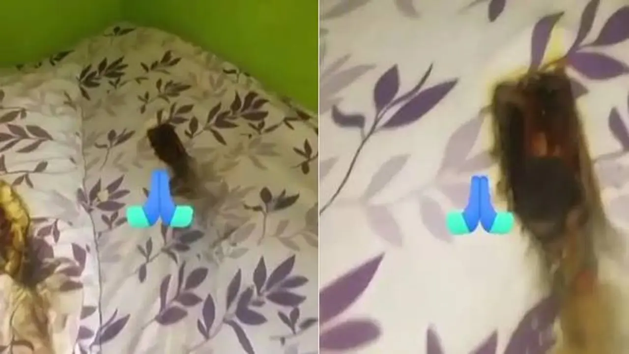 Viral Video Ponsel Terbakar Saat Isi Daya Ini Sampai Bikin Kasur Berlubang