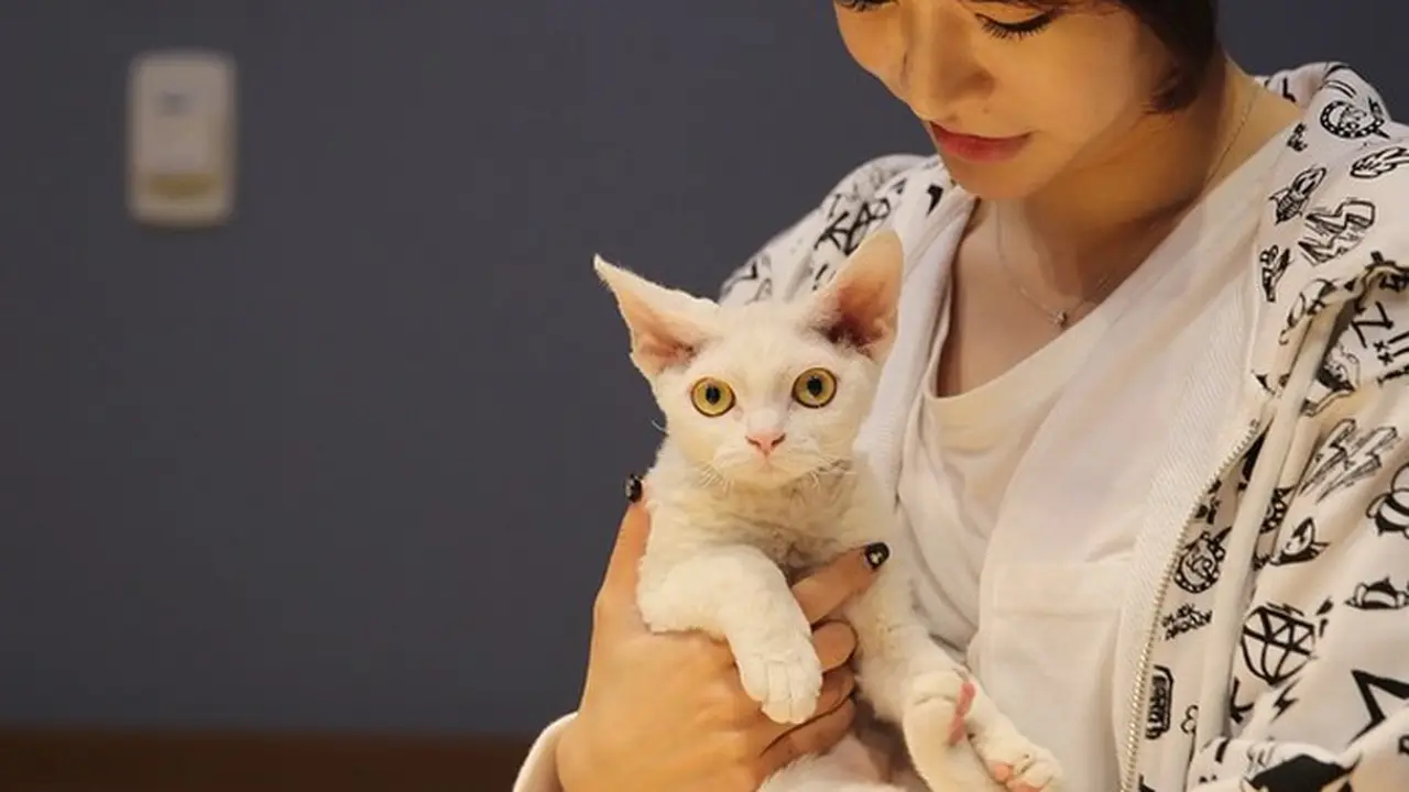 [Bintang] Sunny SNSD