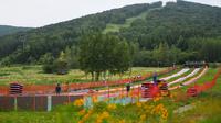 Warga bermain seluncuran yang ada di sebuah kawasan resor di Kota Jilin, Provinsi Jilin, China pada 19 Juli 2020. Arena ski di kawasan resor itu diubah menjadi ladang bunga, seluncuran, dan beragam proyek pariwisata rekreasi lainnya guna menarik wisatawan pada musim panas. (Xinhua/Yan Linyun)