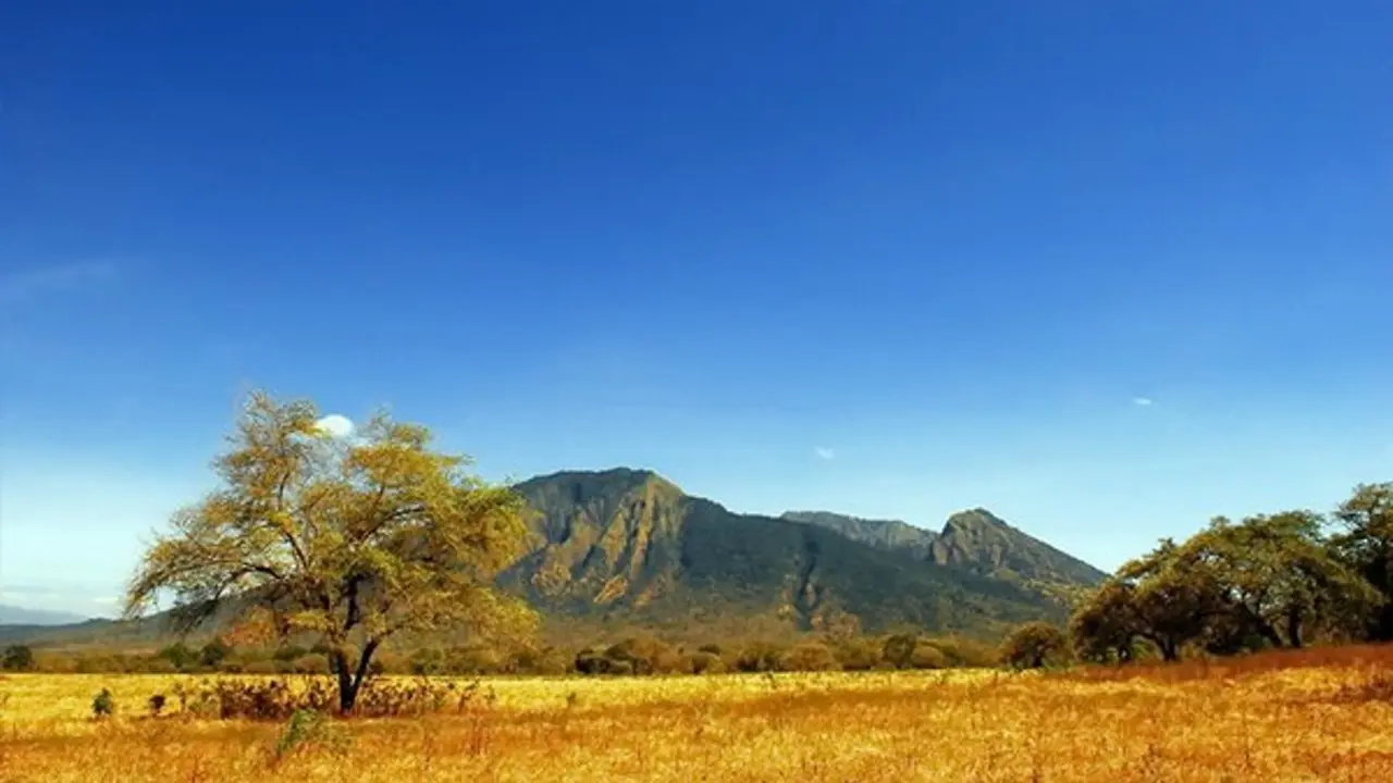 Taman Nasional Baluran, Afrikanya Tanah Jawa
