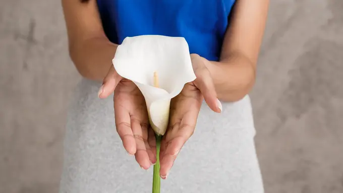 Mitos dan Fakta soal Membersihkan Area Kewanitaan - Cover