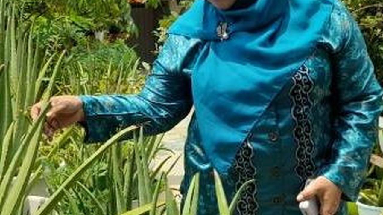 Perempuan di Tangerang Sulap Atap Rumah Jadi “Supermarket”, Ada Sayur hingga Ikan