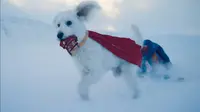 The Krypto scene was removed. (Image source: Warner Bros.)