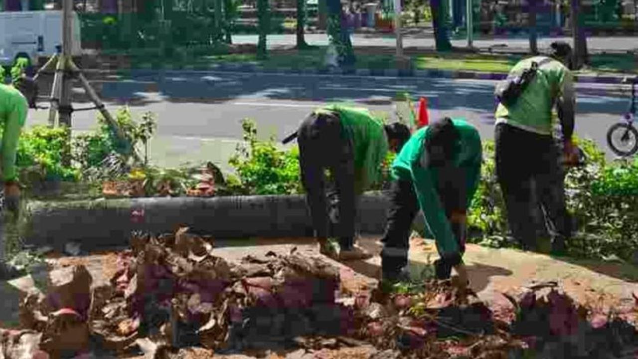 Distamhut DKI Gelar Penopingan Pohon Serentak di Jakarta Antisipasi Cuaca Ekstrem
