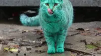 Si Kucing Hijau Ganti Warna
