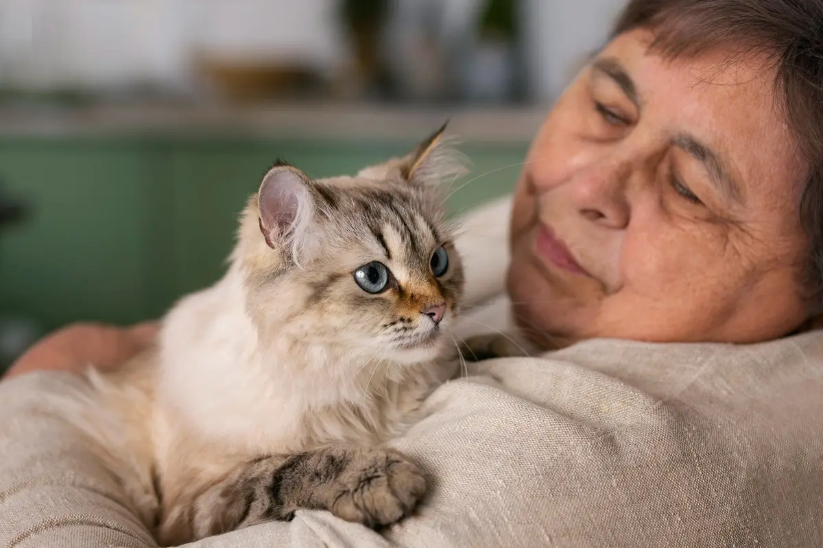 Cat Owner