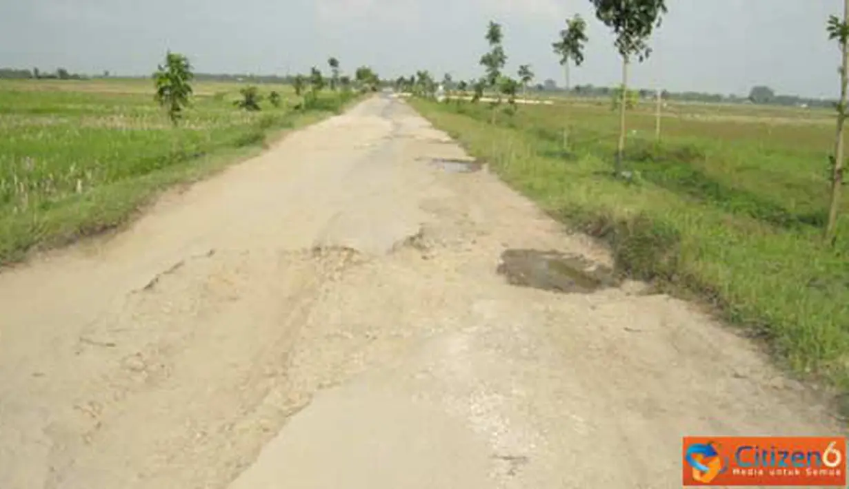 Citizen6, Tuban: Hampir setahun jalan tersebut tidak ada perbaikan dari dinas pekerjaan umum. (Pengirim: Wietha Djenar)
