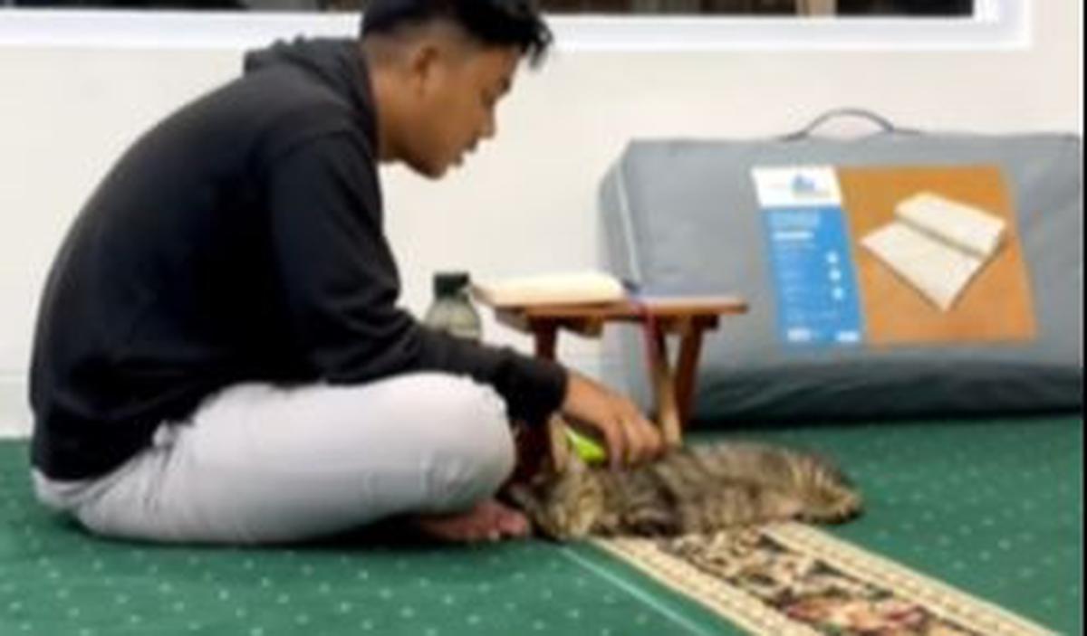 Jadi Masjid Ramah Kucing