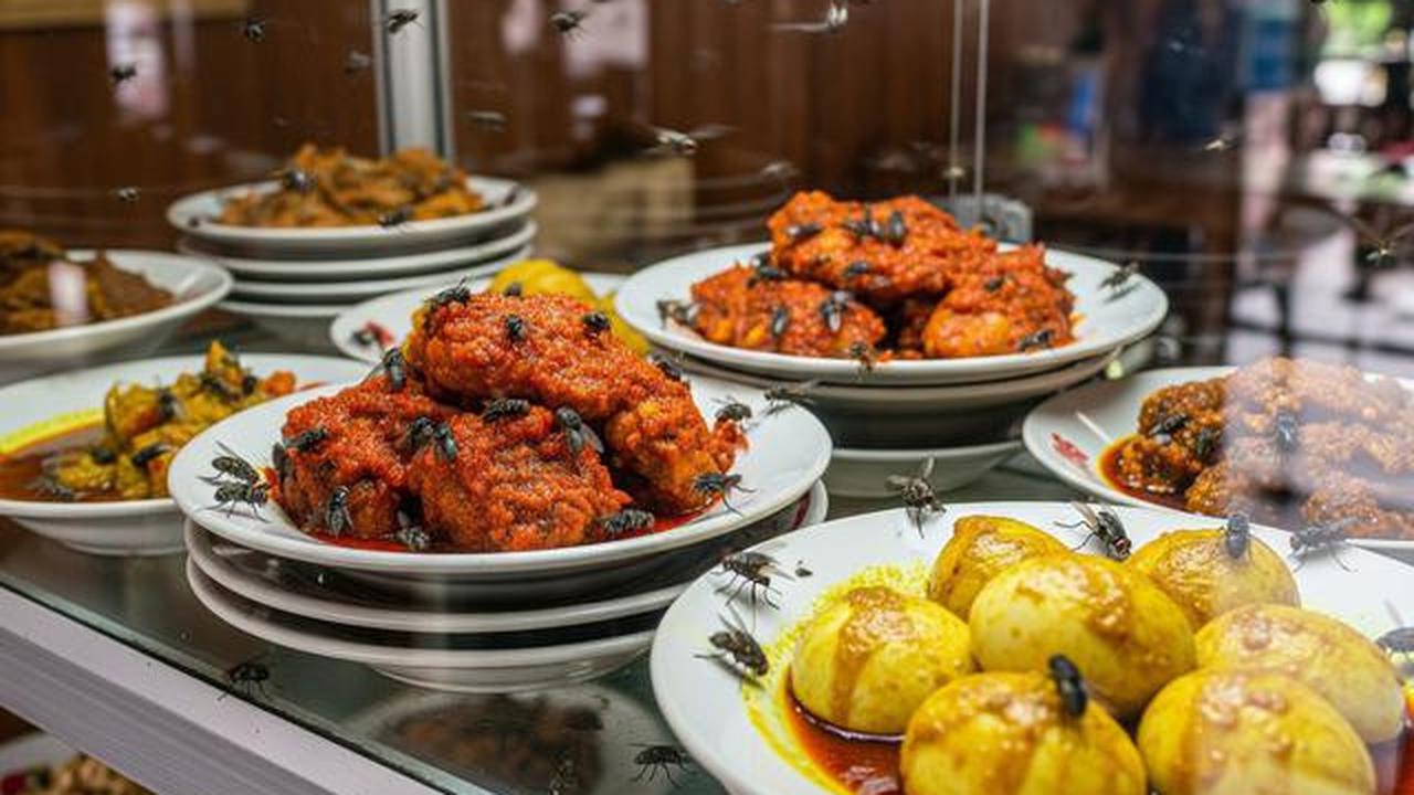7 Ciri Makanan yang Sudah Dihinggapi Lalat tapi Tak Terlihat, Penting Diketahui
