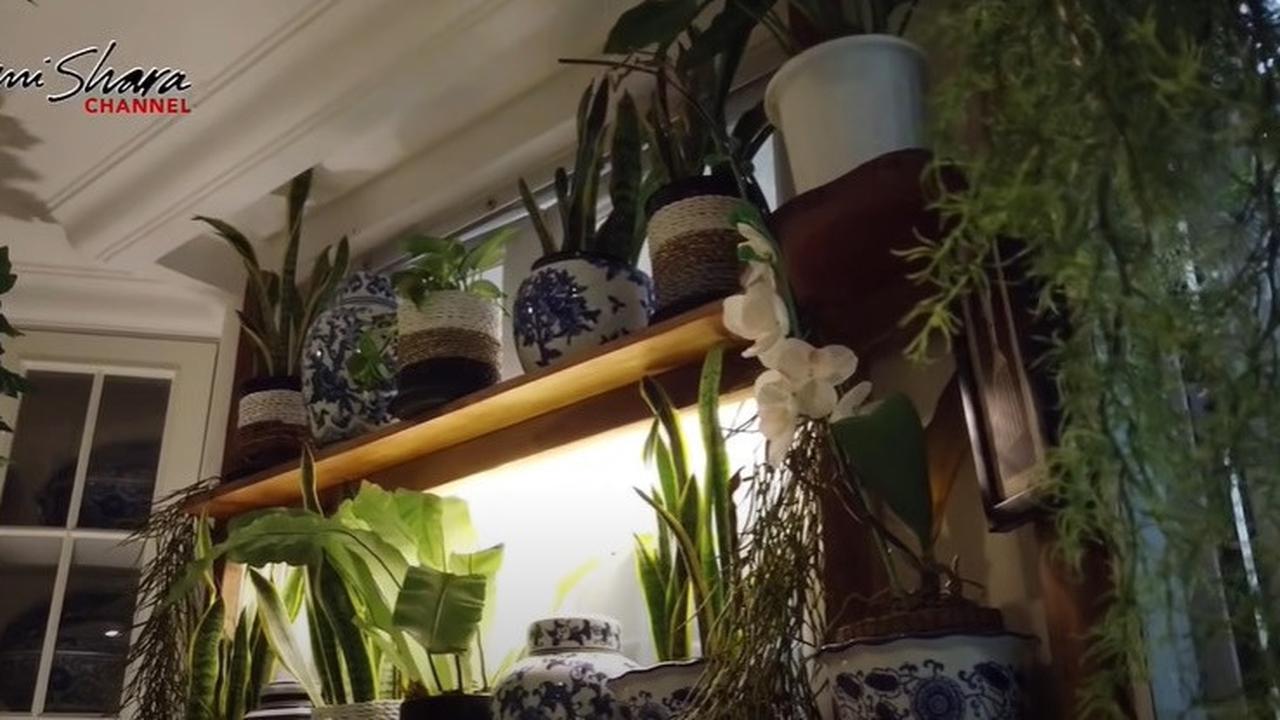 Bertema Jungle House, 8 Potret Dapur Yuni Shara yang Vintage dengan Banyak Tanaman dan Keramik