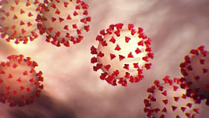 Gambar ilustrasi Virus Corona COVID-19 ini diperoleh pada 27 Februari 2020 dengan izin dari Centers For Desease Control And Prevention (CDC). (AFP)