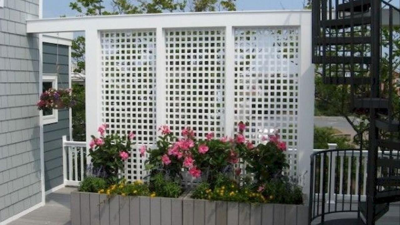 5. Desain Teralis Lattice Elegan