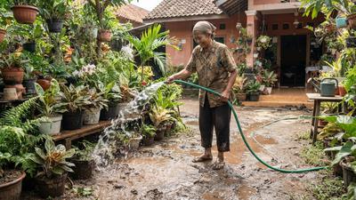 7 Cara Menyiram Tanaman Hias di Teras agar Tidak Becek