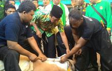 PPP kubu Romi bagikan daging kurban ke ponpes & majelis taklim