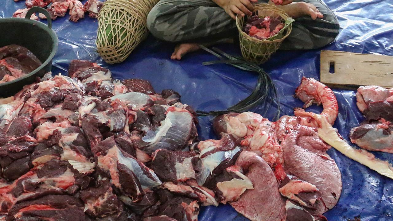 FOTO: Menghidupkan kembali Tradisi Andilan Potong Kebo di Jakarta