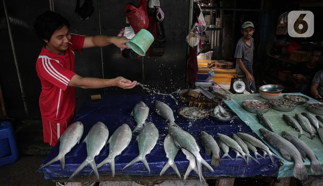 Pedagang menyiram ikan bandeng di Pasar Petak Sembilan, Glodok, Jakarta, Senin (31/1/2022). Harga dari ikan bandeng tersebut bervariasi, mulai dari Rp 50 ribu sampai Rp 90 ribu per kilogram tergantung ukuran ikan. (Liputan6.com/Faizal Fanani)
