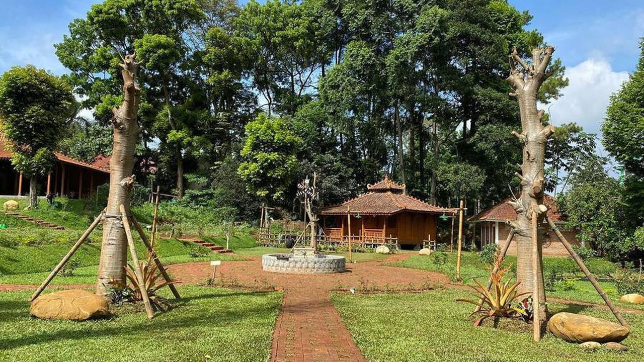 Pohon Baobab